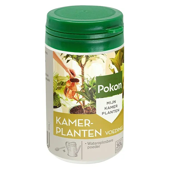 Pokon Kamerplanten Voeding - 100 g - Diagonaal zicht