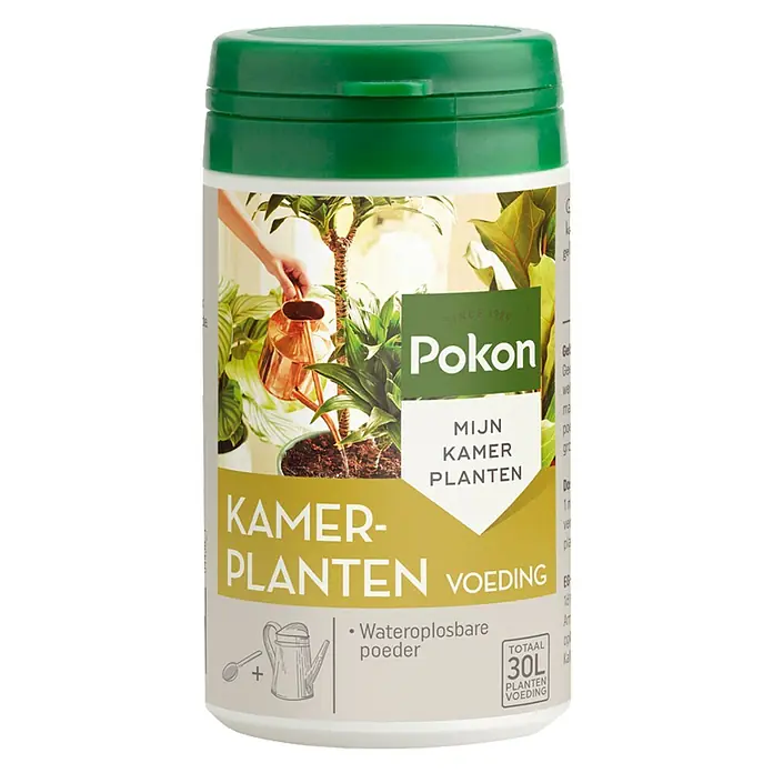Pokon Kamerplanten Voeding - 100 g - Vooraanzicht