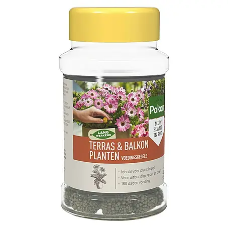 Pokon  Mestkegel voor balkonplanten