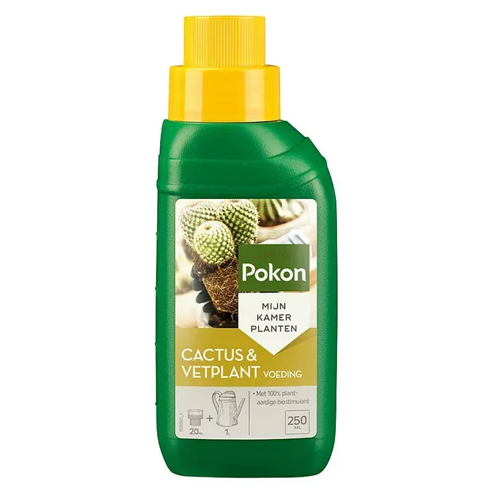 Pokon Cactusvoeding - 250 ml - Vooraanzicht