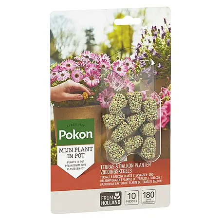 Pokon  Mestkegel voor balkonplanten