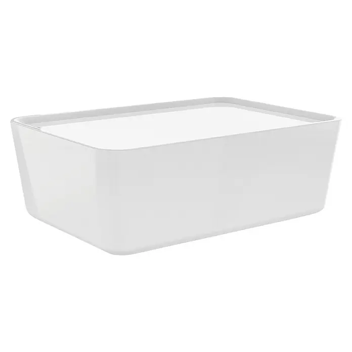 Regalux Kutija za pohranjivanje - D x Š x V: 17 x 13 x 8 cm, Plastika - Dijagonalni pogled