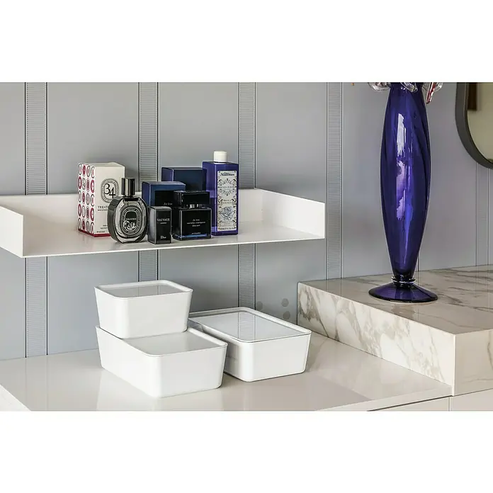 Regalux Kutija za pohranjivanje - D x Š x V: 24 x 13 x 8 cm, Plastika - Živopisni prikaz