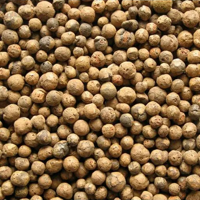 BHS Zaragoza Granulado de arcilla expandida - 17 kg, Grano: 8 mm - 16 mm - Primer plano