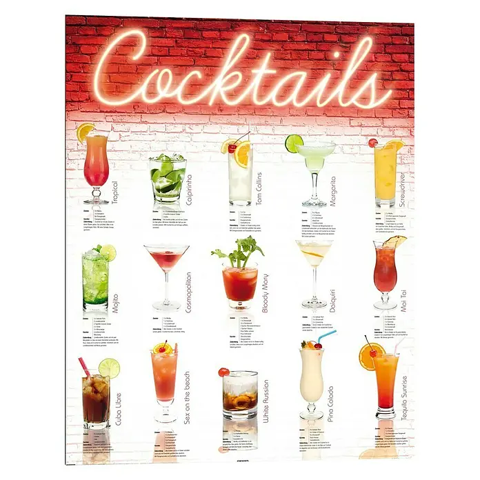 Decopanel - Cocktails German, B x H: 40 x 50 cm - Vorderansicht