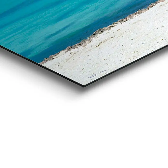 Decopanel - Divi Divi Tree, B x H: 156 x 52 cm - Detailaufnahme