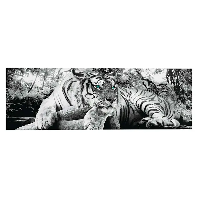 Decopanel - Tiger is Watching You, B x H: 156 x 52 cm - Vorderansicht