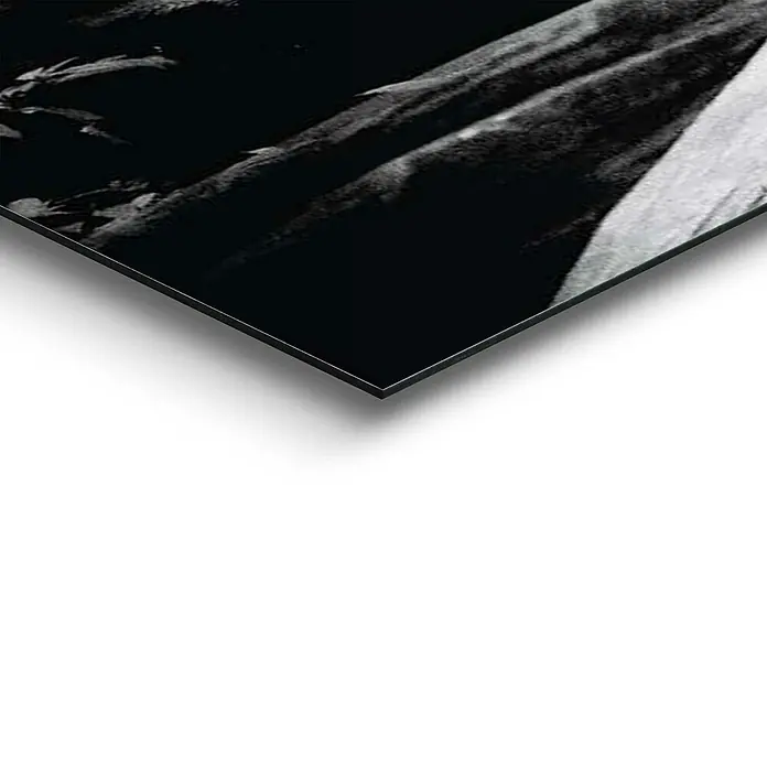 Decopanel - Tiger is Watching You, B x H: 156 x 52 cm - Detailaufnahme
