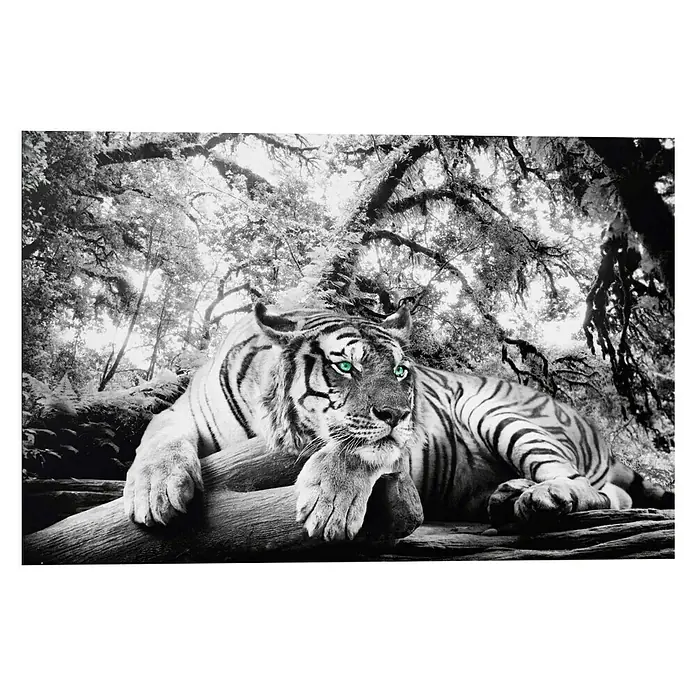 Decopanel - Tiger is Watching You, B x H: 90 x 60 cm - Vorderansicht