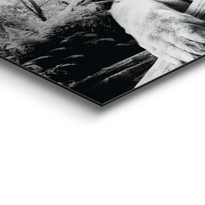 Decopanel - Tiger is Watching You, B x H: 90 x 30 cm - Detailaufnahme