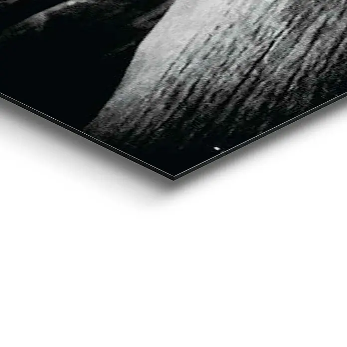Decopanel - Tiger is Watching You, B x H: 140 x 100 cm - Detailaufnahme