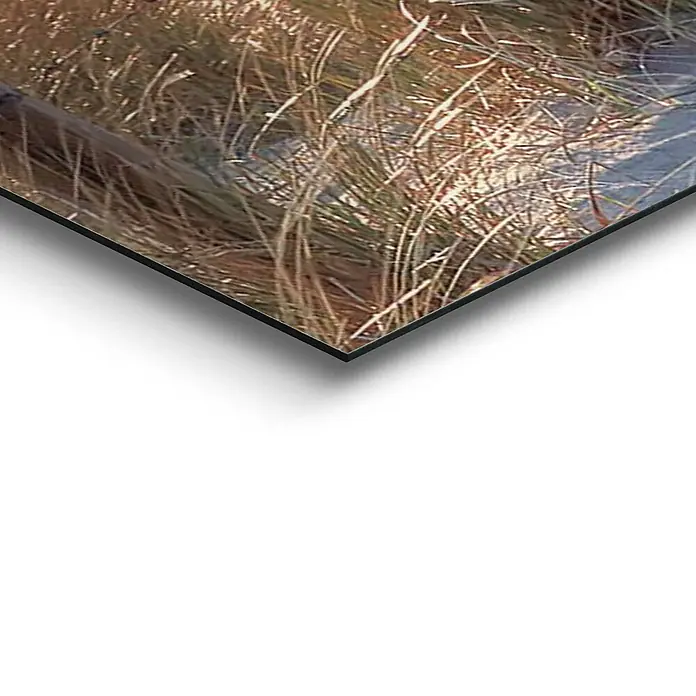 Decopanel - Dune Path I, B x H: 156 x 52 cm - Detailaufnahme