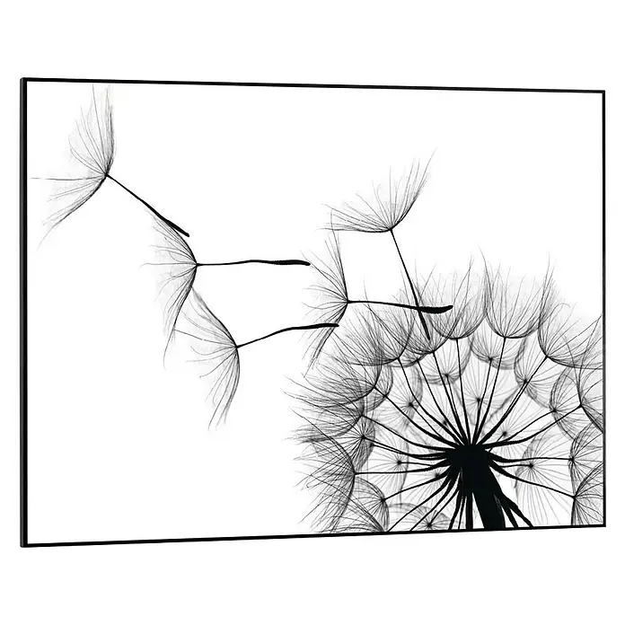 Bild Slim Frame - Dandelion, B x H: 70 x 50 cm - Vorderansicht