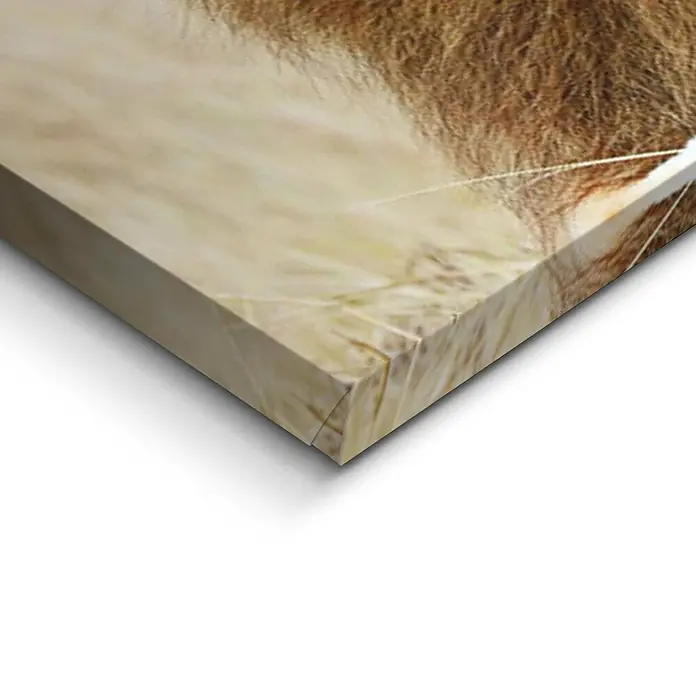 Holzbild Deco Block - Pair of Lions, B x H: 118 x 40 cm - Detailaufnahme