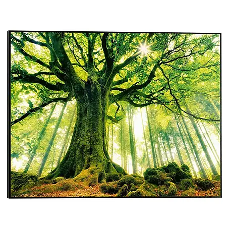 Bild Slim Frame