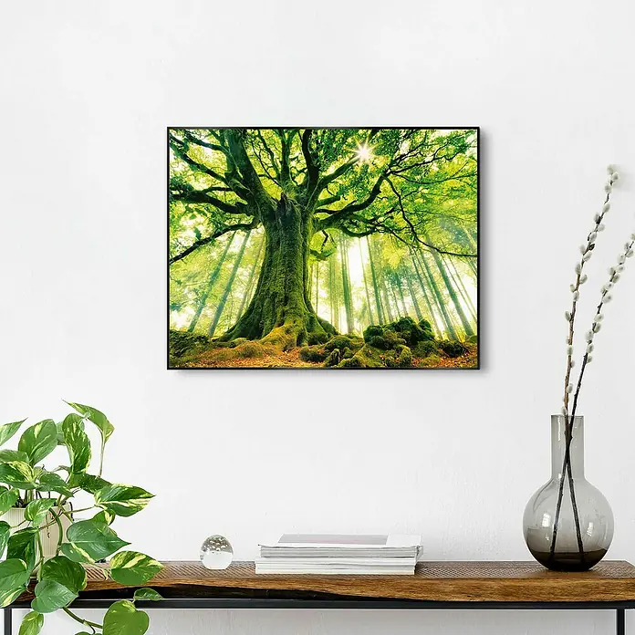 Bild Slim Frame - Autumn Forest III, B x H: 52 x 40 cm - Stimmungsaufnahme