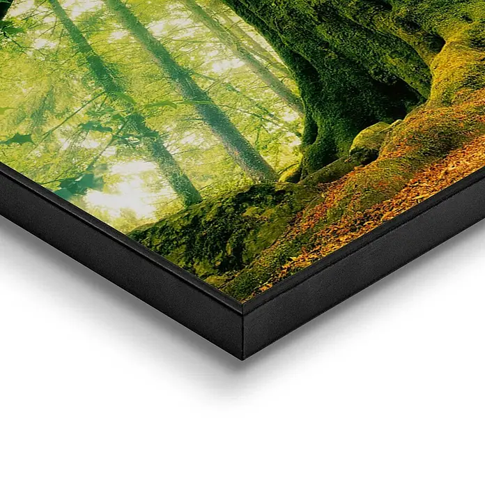 Bild Slim Frame - Autumn Forest III, B x H: 52 x 40 cm - Detailaufnahme