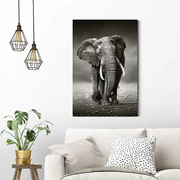 Decopanel - Elephant Walking, B x H: 60 x 90 cm - Stimmungsaufnahme