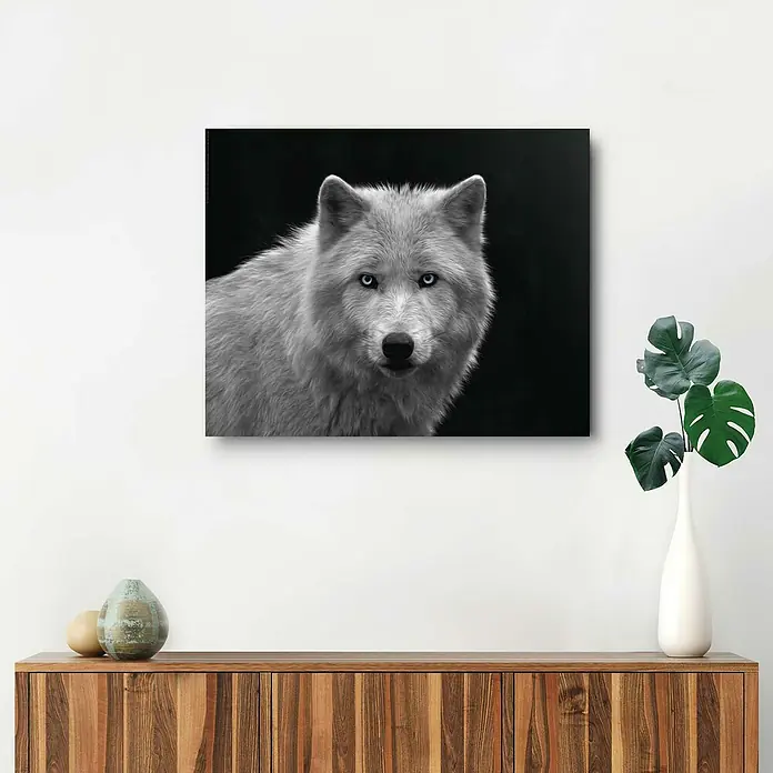 Decopanel - White Wolf - Blue Eyes, B x H: 50 x 40 cm - Stimmungsaufnahme