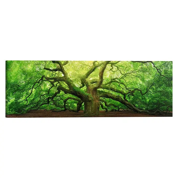 Holzbild Deco Block - Old Oak, B x H: 118 x 40 cm - Vorderansicht