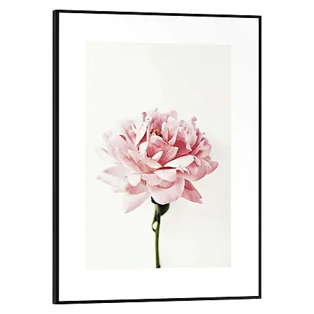 Bild Slim Frame