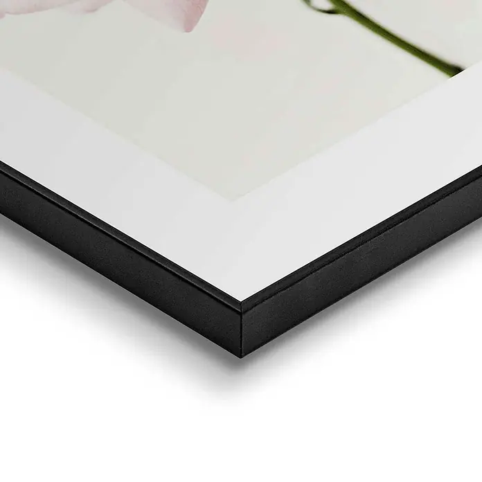 Bild Slim Frame - Pink Rose, B x H: 30 x 40 cm - Detailaufnahme