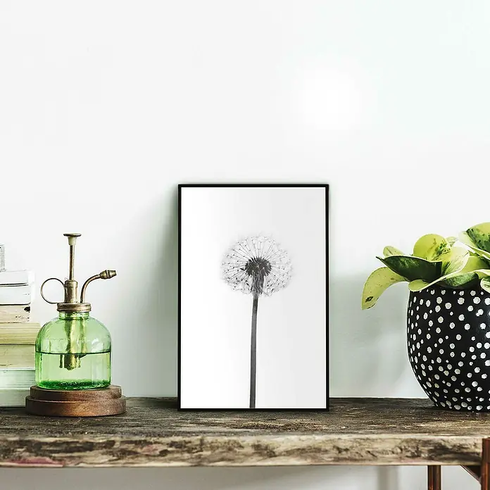 Bild Slim Frame - Dandelion Grey, B x H: 20 x 30 cm - Stimmungsaufnahme