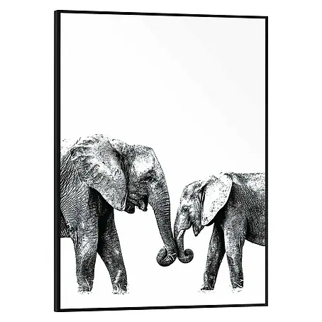 Bild Slim Frame
