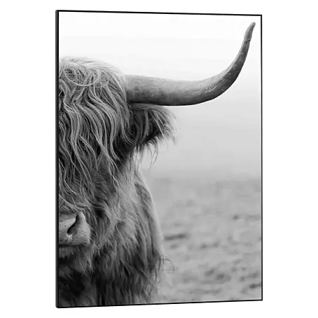 Bild Slim Frame