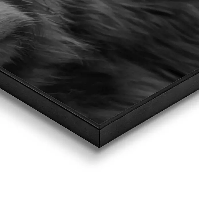 Bild Slim Frame - Highlander, B x H: 50 x 70 cm - Detailaufnahme