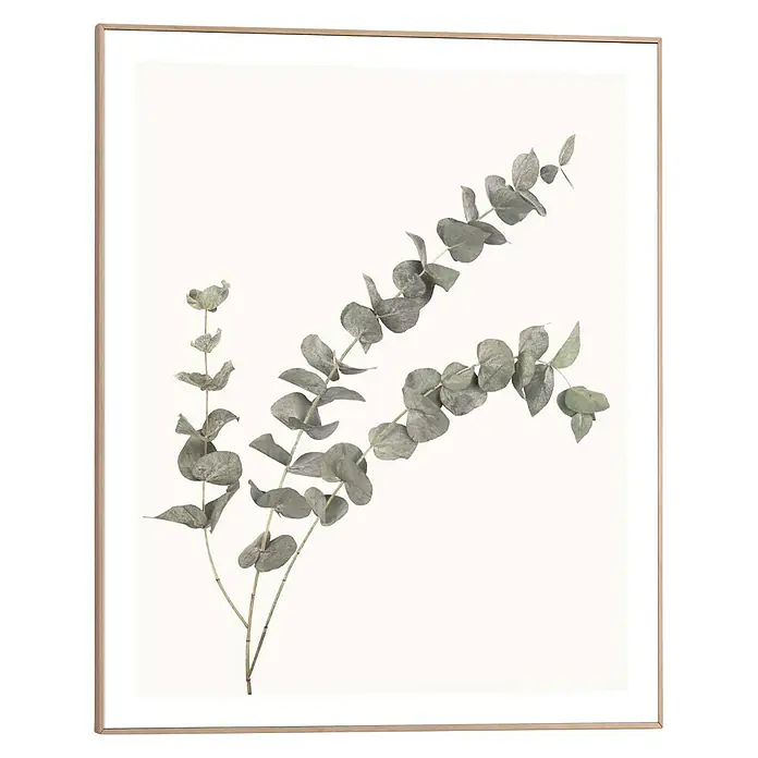 Bild Slim Frame - Eucalyptus, B x H: 40 x 50 cm - Vorderansicht