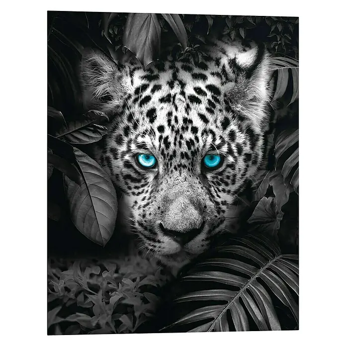 Decopanel - Blue Eyed Leopard, B x H: 40 x 50 cm - Vorderansicht