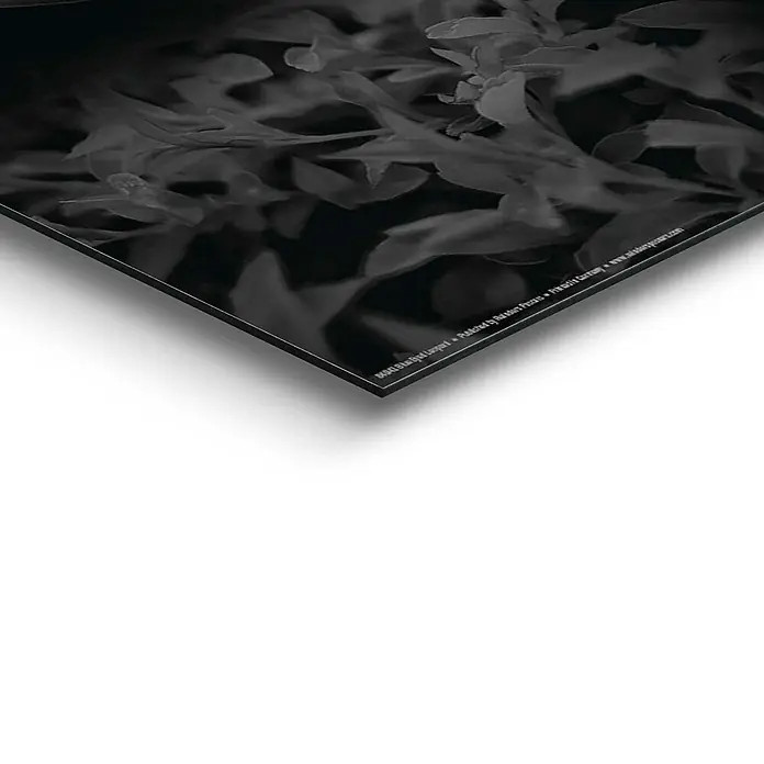 Decopanel - Blue Eyed Leopard, B x H: 40 x 50 cm - Detailaufnahme