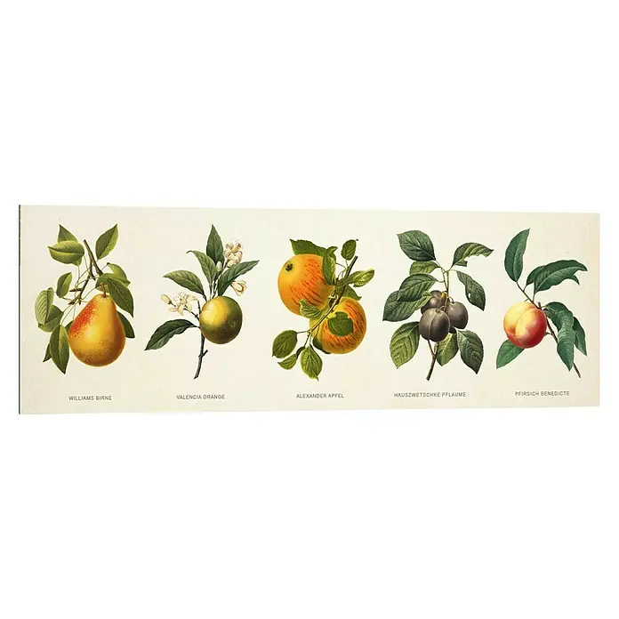 Decopanel - Fruit Illustrations, B x H: 90 x 30 cm - Vorderansicht