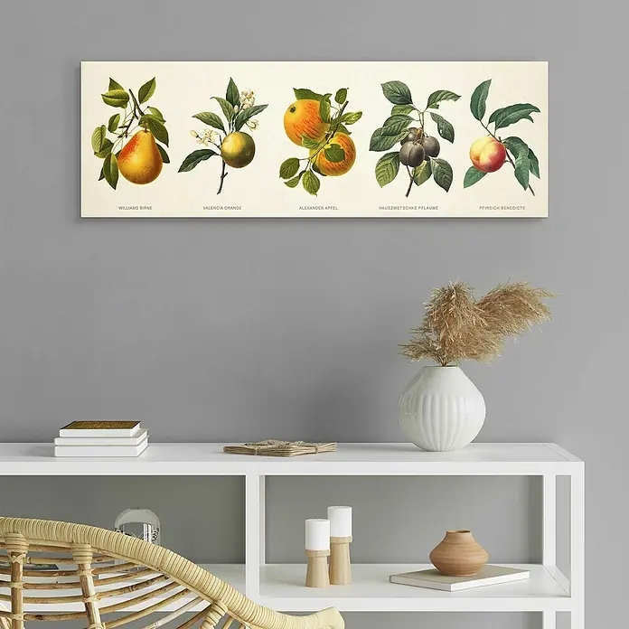 Decopanel - Fruit Illustrations, B x H: 90 x 30 cm - Stimmungsaufnahme