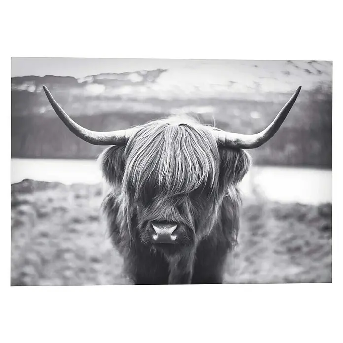 Decopanel - Highland Cow, B x H: 140 x 100 cm - Vorderansicht