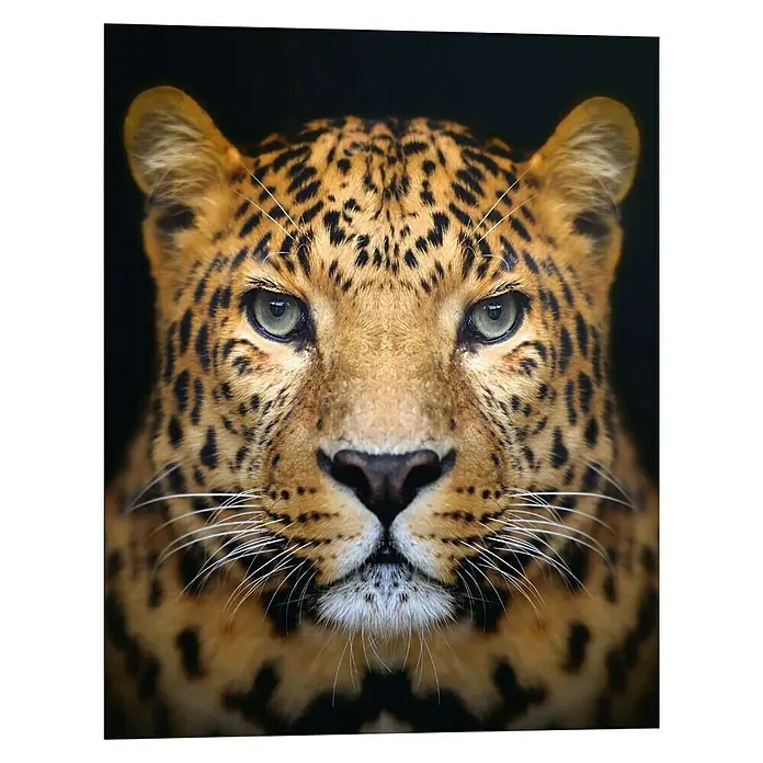 Decopanel - Leopard Face, B x H: 40 x 50 cm - Vorderansicht