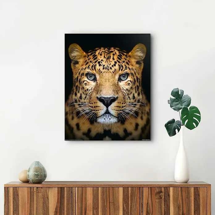 Decopanel - Leopard Face, B x H: 40 x 50 cm - Stimmungsaufnahme