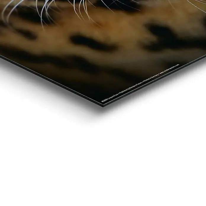 Decopanel - Leopard Face, B x H: 40 x 50 cm - Detailaufnahme