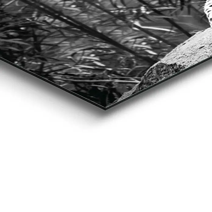 Decopanel - Leopard Rock, B x H: 90 x 30 cm - Detailaufnahme