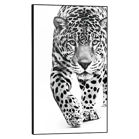 Bild Framed Canvas Look