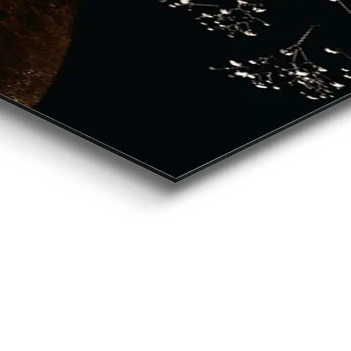 Decopanel - Flower Explosion, B x H: 140 x 100 cm - Detailaufnahme