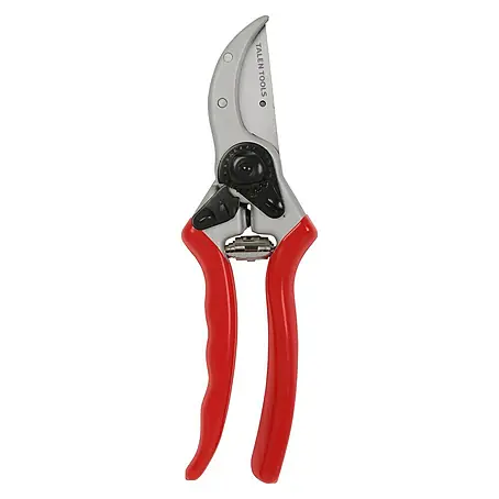 Talen Tools  Professionele Snoeischaar