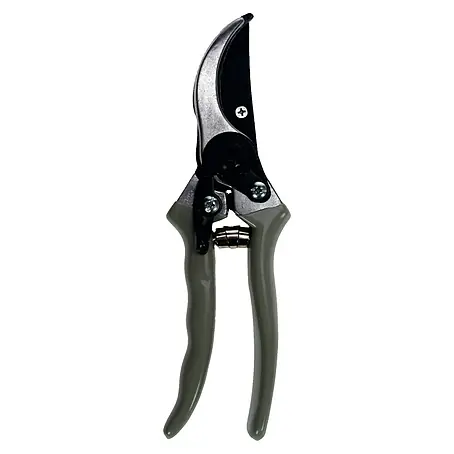 Talen Tools  Snoeischaar