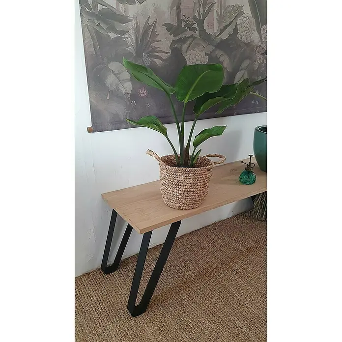 Möbelfuß - Traglast: 100 kg, Schwarz, L x B x H: 50 x 244 x 400 mm - Stimmungsaufnahme