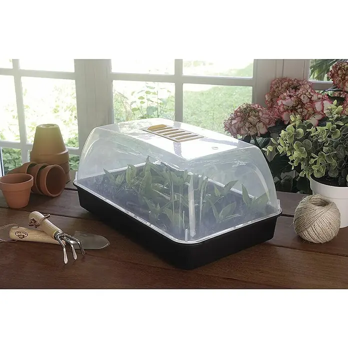 Nortene Mini invernadero Rapid grow - L x An: 38 x 24 cm - Foto ambiente