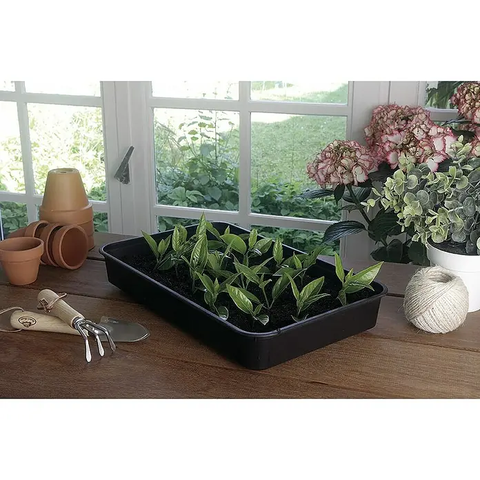 Nortene Mini invernadero Rapid grow - L x An: 38 x 24 cm - Foto ambiente