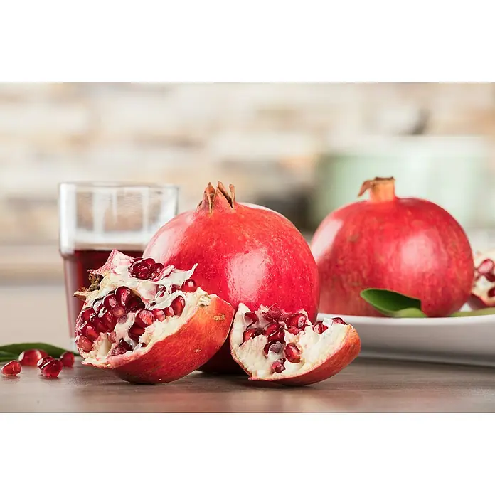 Piardino Granatapfelbaum - Punica granatum, Topfgröße: 14 cm - Stimmungsaufnahme