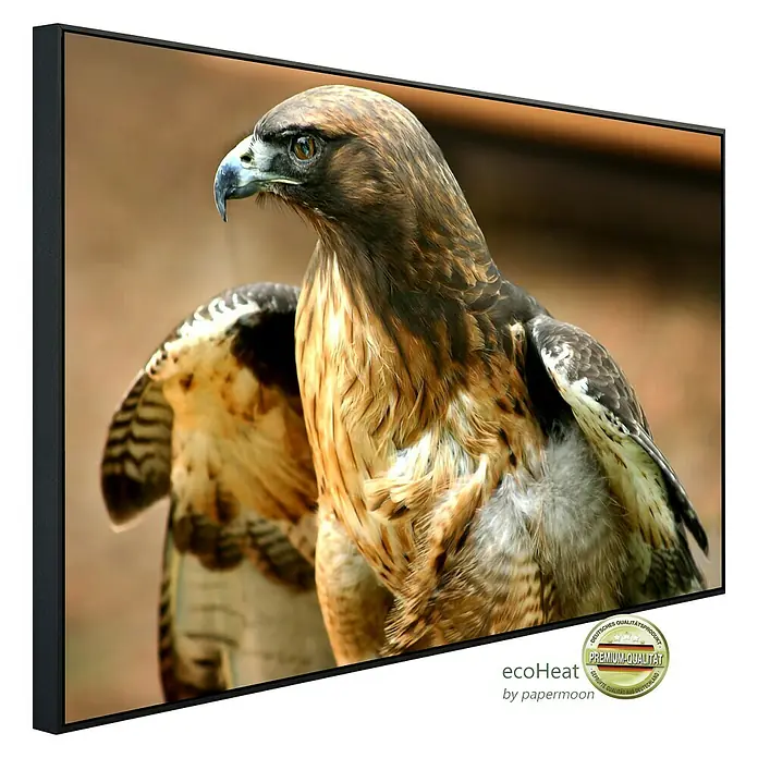 Papermoon Infrarot-Bildheizkörper Red Tail Hawk - 80 x 60 cm, 450 W - Diagonale Ansicht