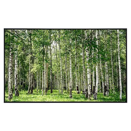 Papermoon  Infrarot-Bildheizkörper Birkenwald 1